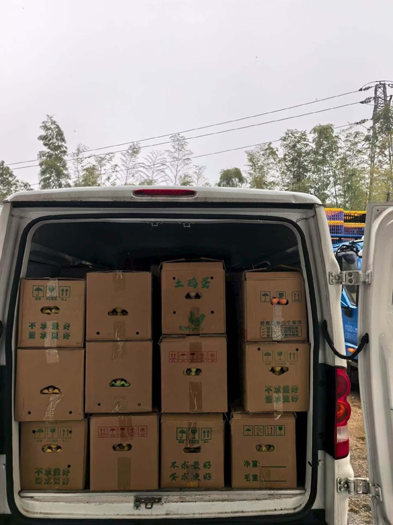农家土鸡蛋放养草鸡蛋整箱360个批发代发