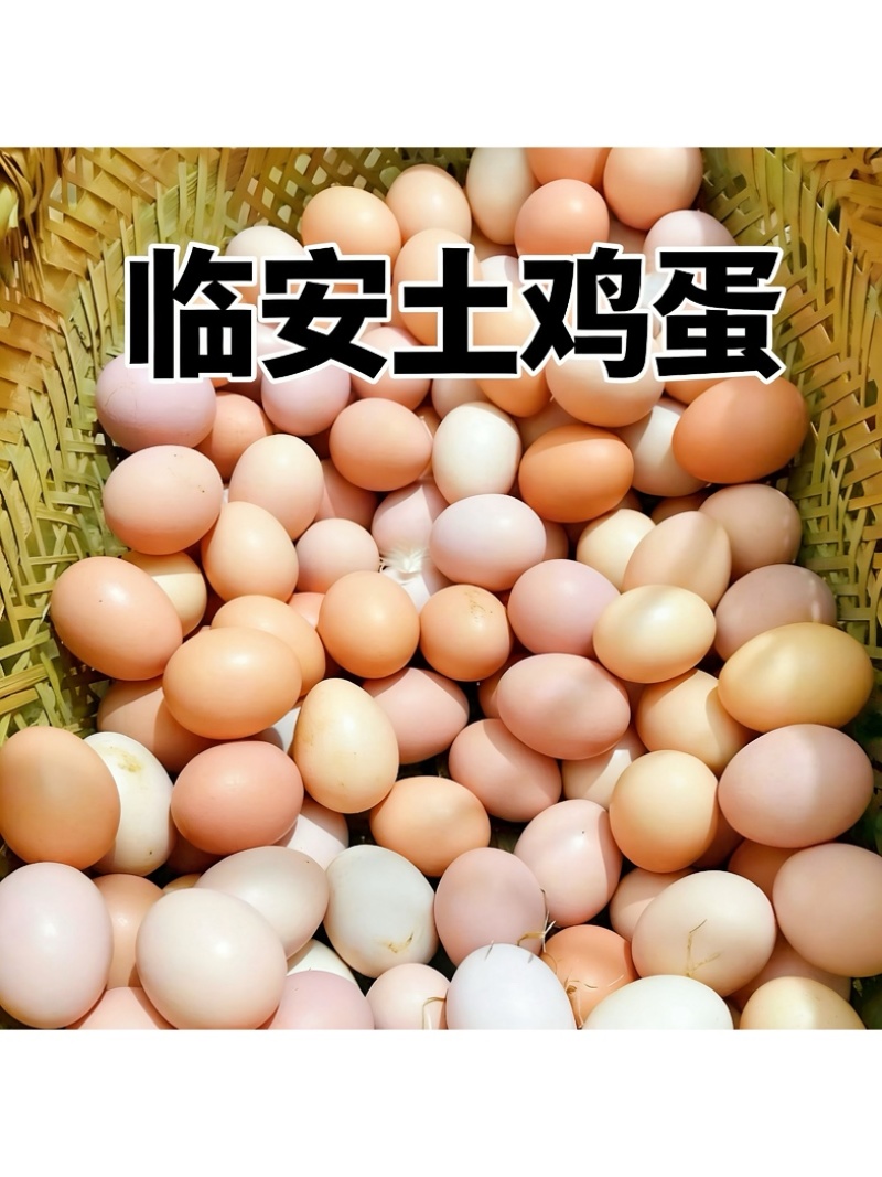 农家土鸡蛋放养草鸡蛋整箱360个批发代发