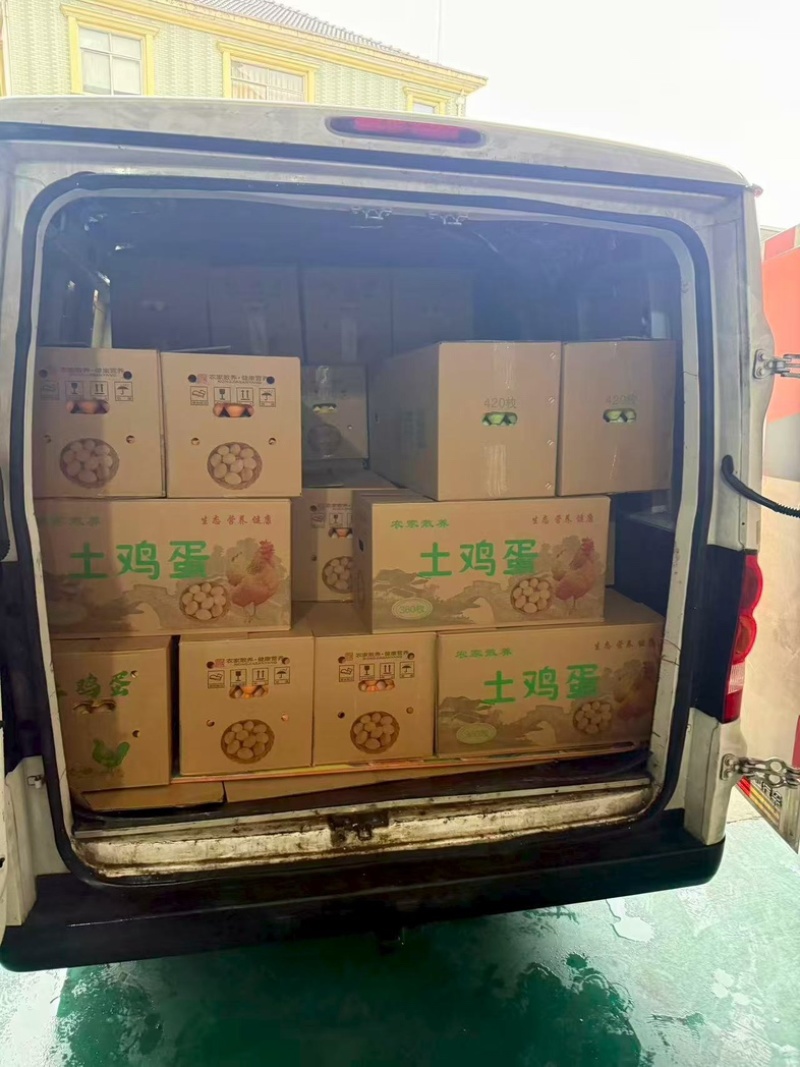 农家土鸡蛋放养草鸡蛋整箱360个批发代发