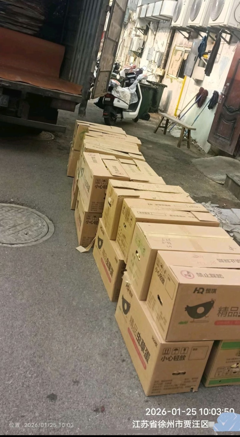 农家土鸡蛋放养草鸡蛋整箱360个批发代发