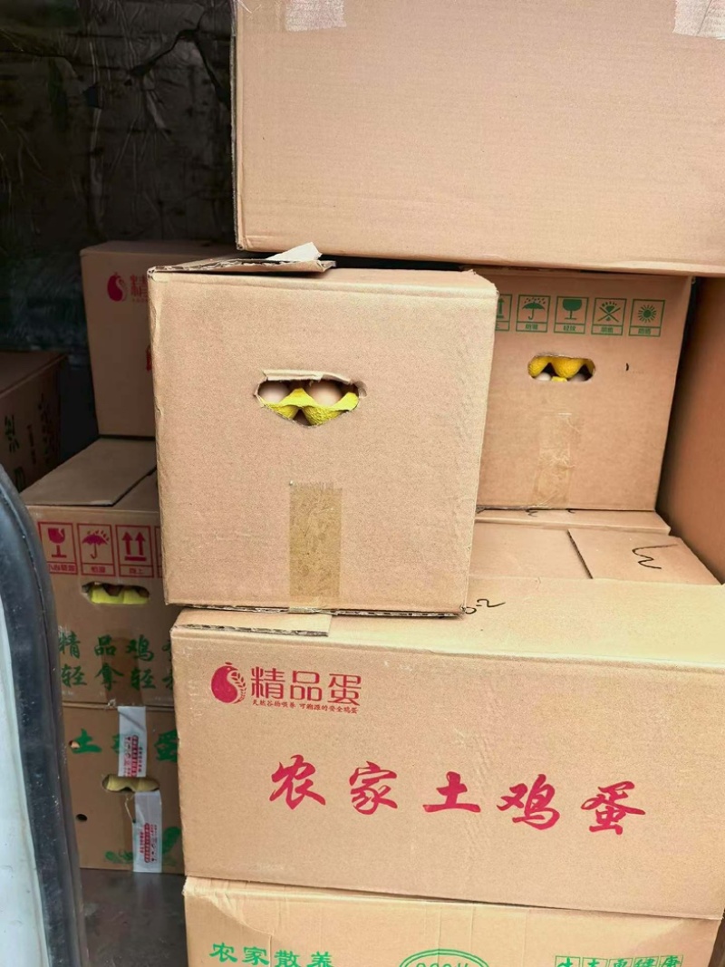 农家土鸡蛋放养草鸡蛋整箱360个批发代发