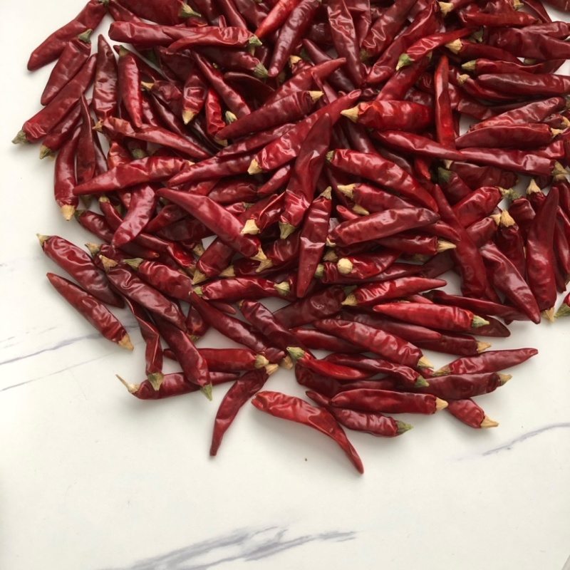 贵州遵义满天星精品干辣椒特辣爆香火锅底料专用包运费