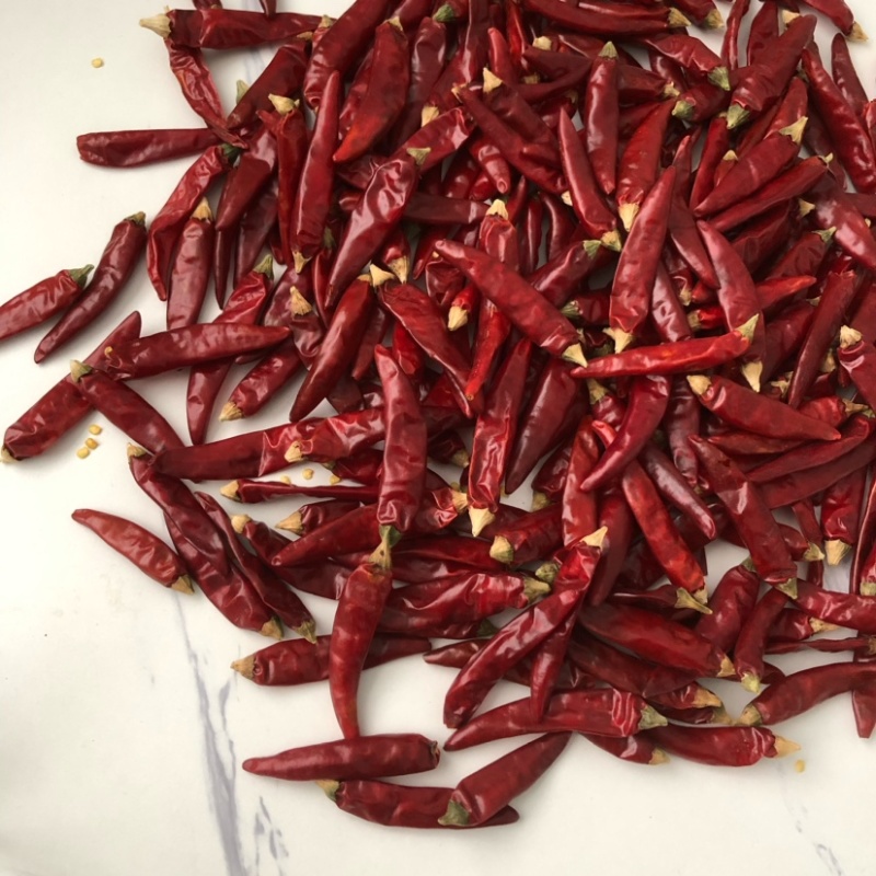 贵州遵义满天星精品干辣椒特辣爆香火锅底料专用包运费