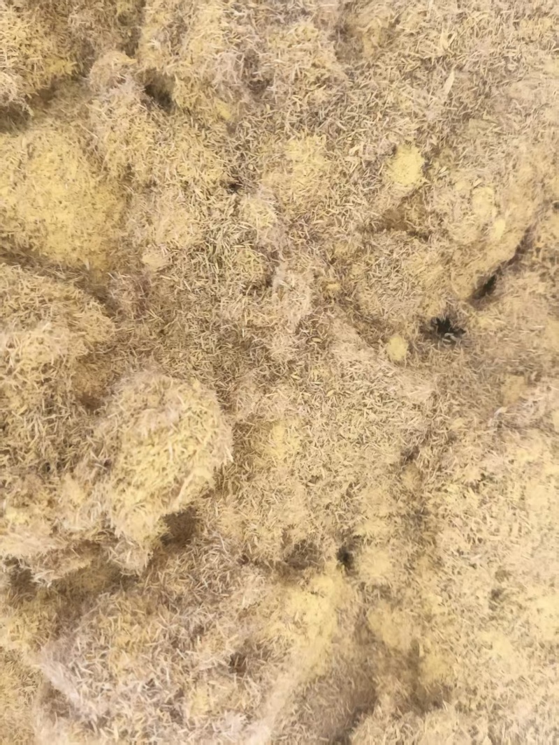 直接复制我给自你的标题：微山湖蒲黄产地直供中药材蒲黄