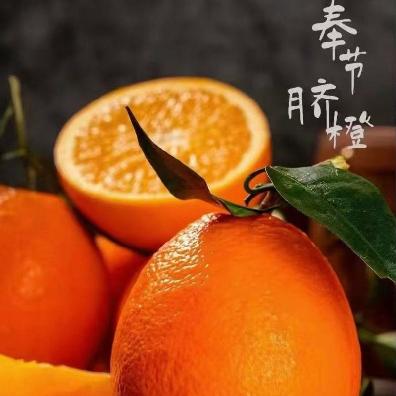 奉节脐橙产地直发大量上市欢迎老板前来咨询采购