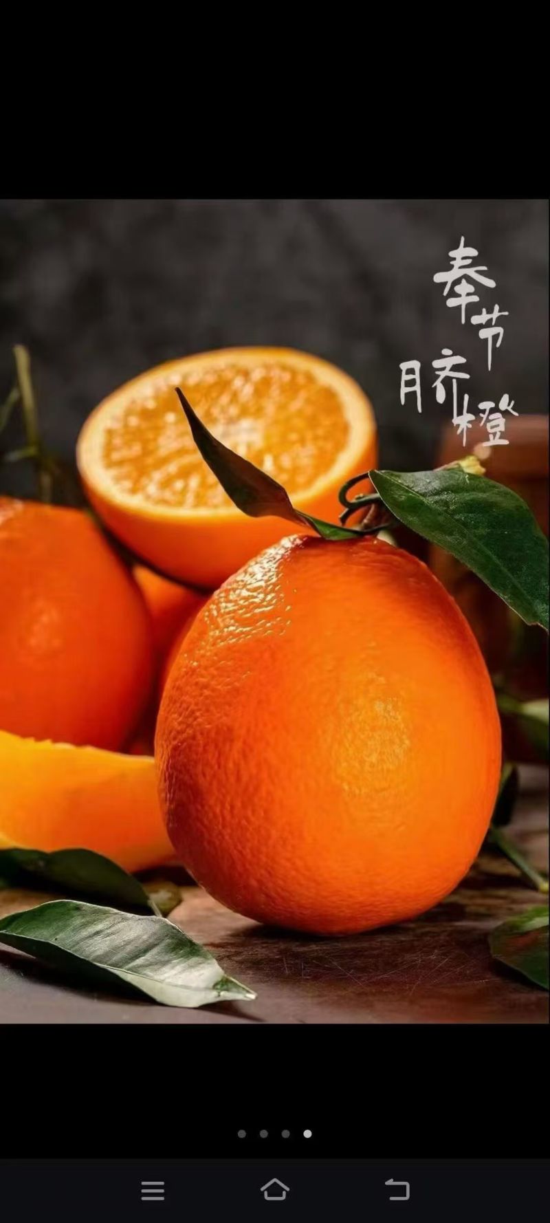奉节脐橙产地直发大量上市欢迎老板前来咨询采购