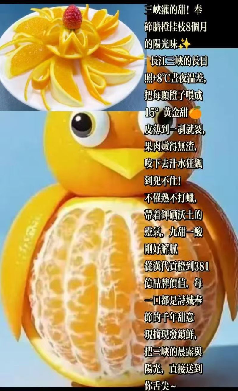 奉节脐橙产地直发大量上市欢迎老板前来咨询采购