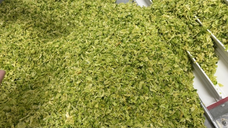 高丽菜
