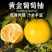 葡萄柚自家种植新鲜采摘大量成熟口感甜水分充