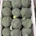 出口西蓝花品质加工厂全年