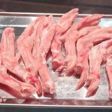 鹅掌