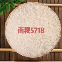 2025年水稻出售