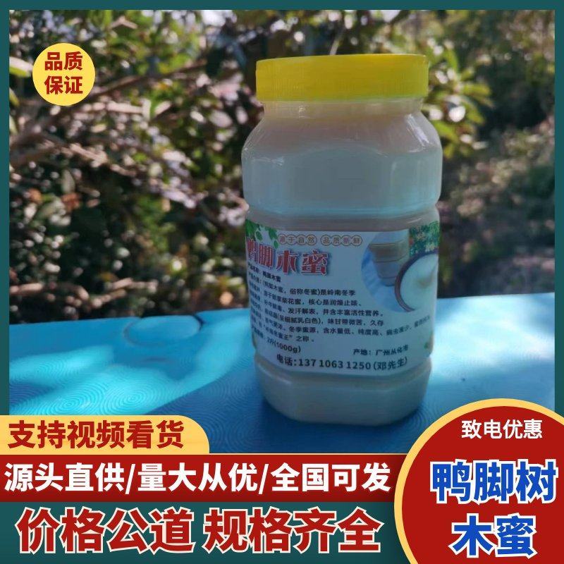 鸭脚树木蜜大量上市，对接档市场，商超，价格美丽，欢迎咨询