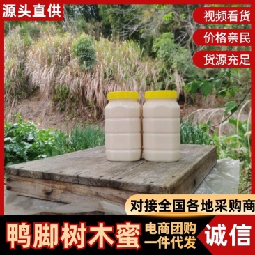鸭脚树木蜜，对接市场，档口，电商，农家自产自销，量大从优