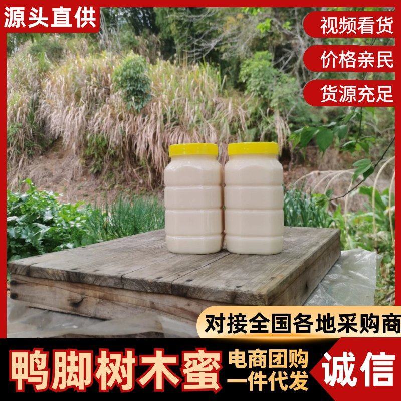鸭脚树木蜜，对接市场，档口，电商，农家自产自销，量大从优