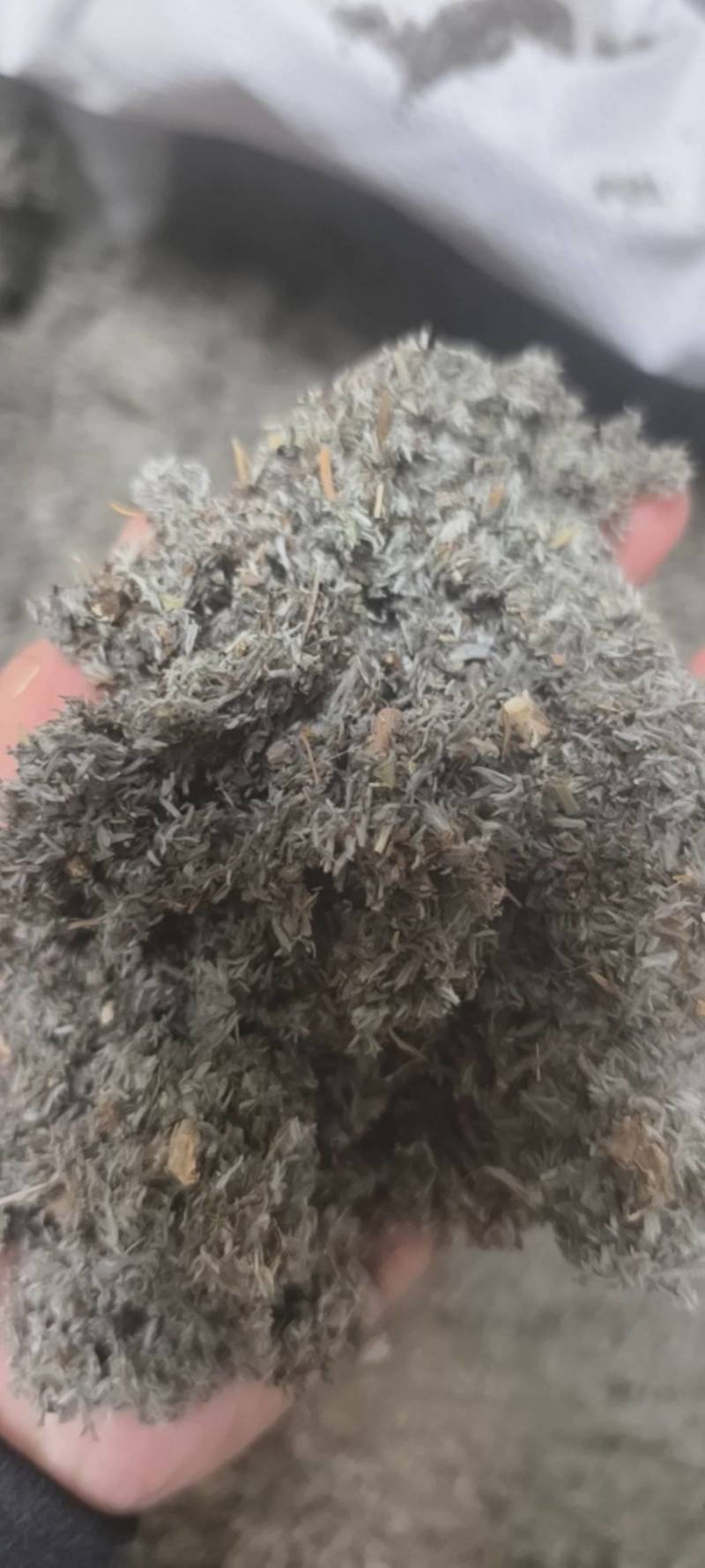 茵陈茵陈产地河南省地道药材紫轩堂药业