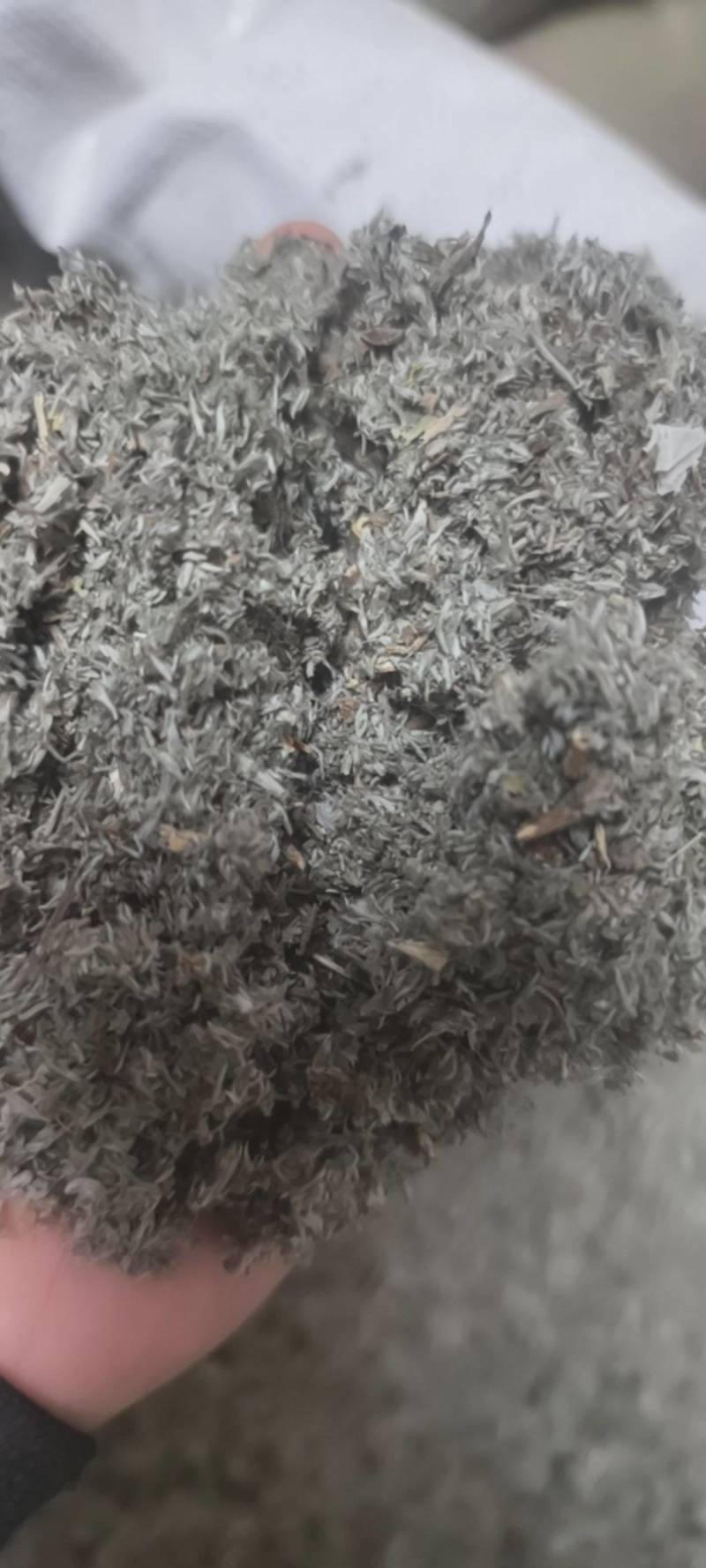 茵陈茵陈产地河南省地道药材紫轩堂药业