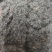 茵陈茵陈产地河南省地道药材紫轩堂药业