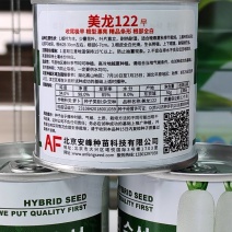 美龙122耐寒板叶白萝卜种子