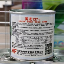 美龙137板叶白萝卜种子