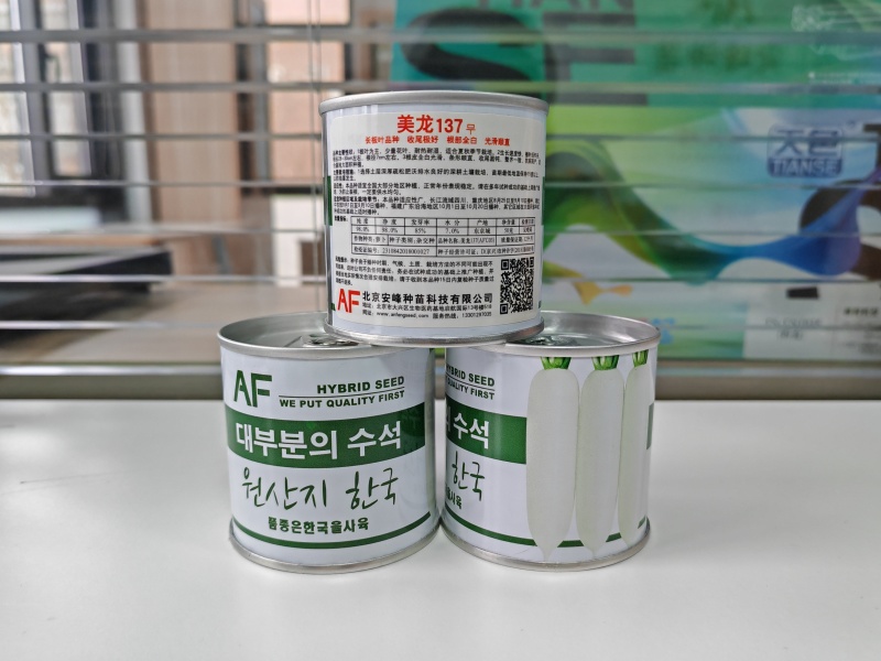 美龙137板叶白萝卜种子