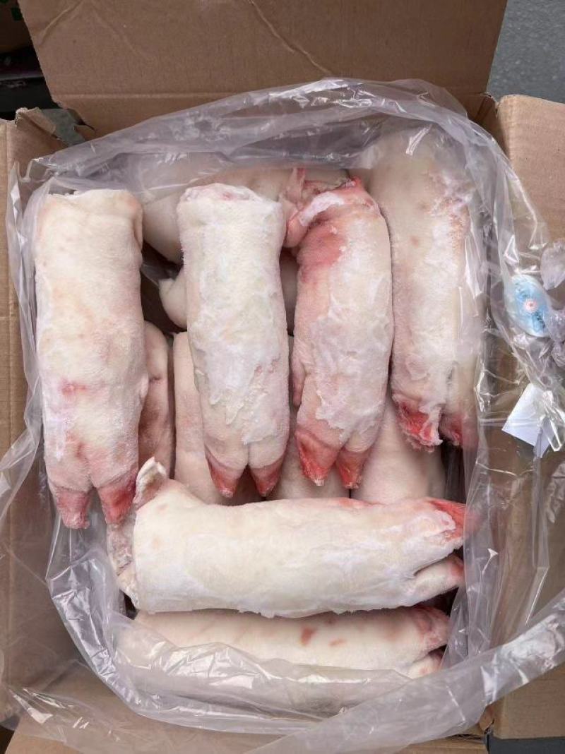 龙大母猪蹄，12，13个左右