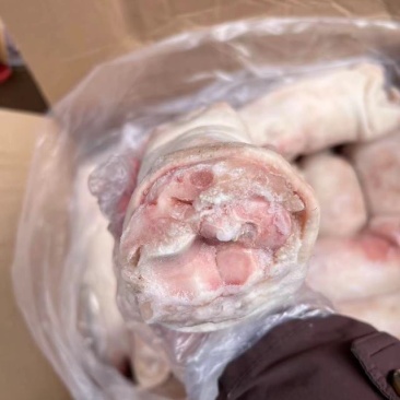 龙大母猪蹄，12，13个左右