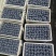 山东蓝莓/F6/L25/L11/现摘现发/对接批发市场