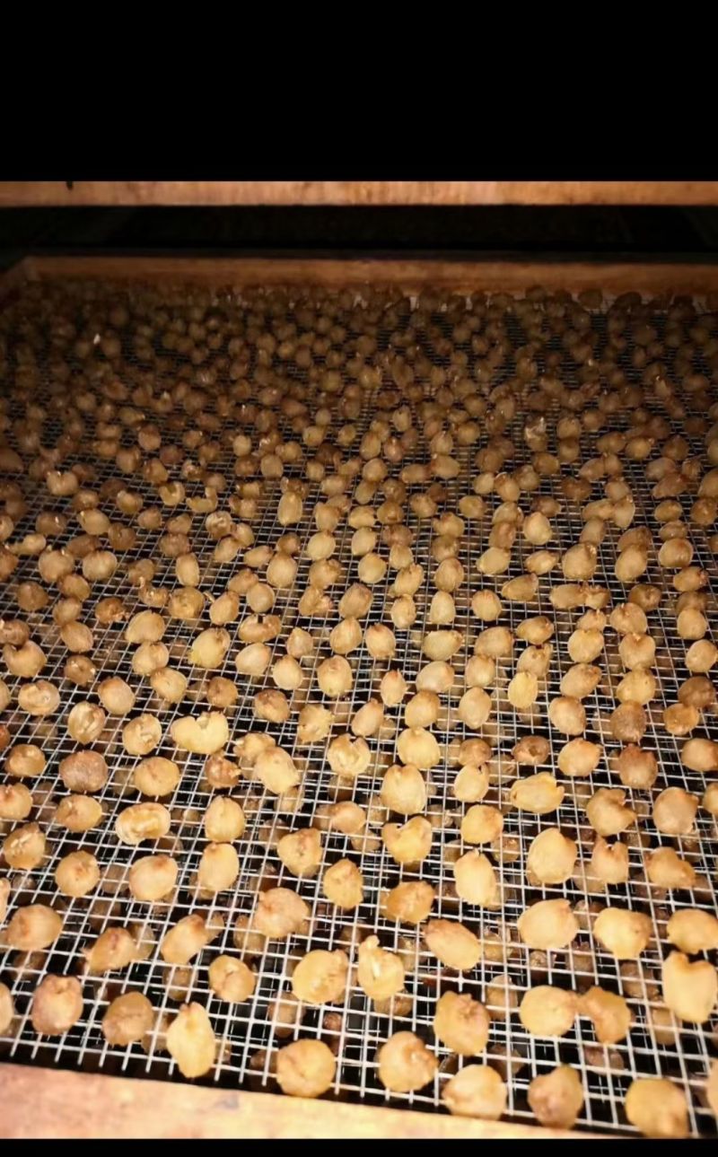 桂圆肉