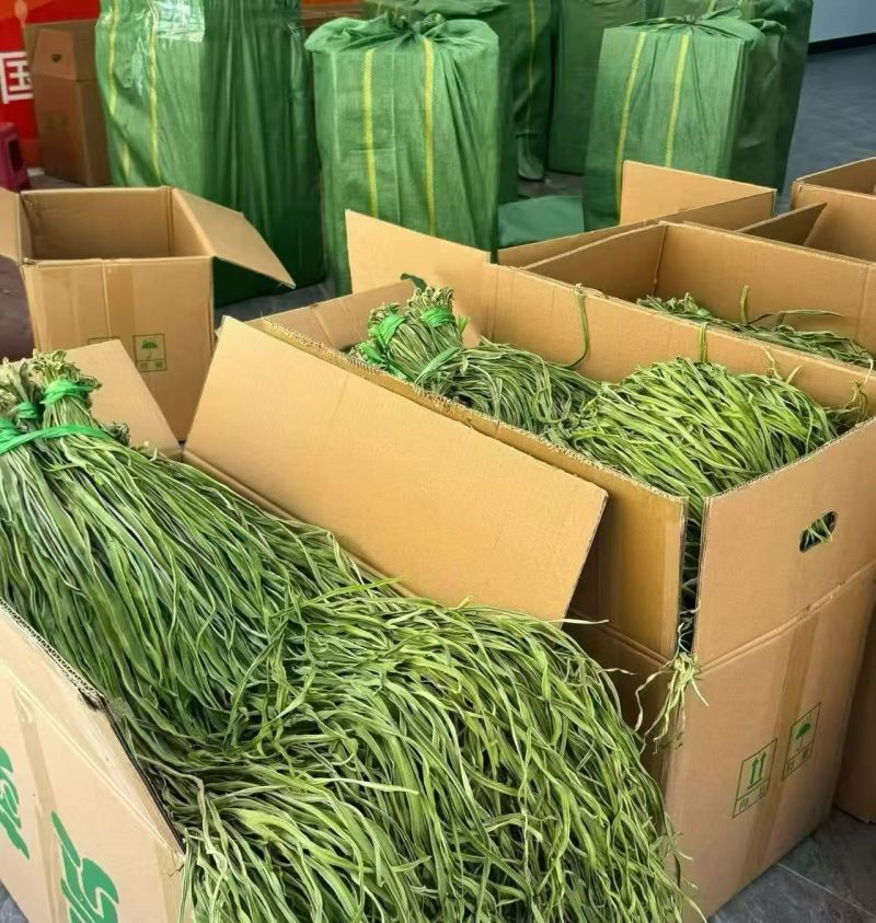 精品贡菜，去头去尾，产地直销，全国发货，支持视频看货，