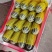 山东精品博洋61甜瓜博洋甜瓜大量上市品质保证量大