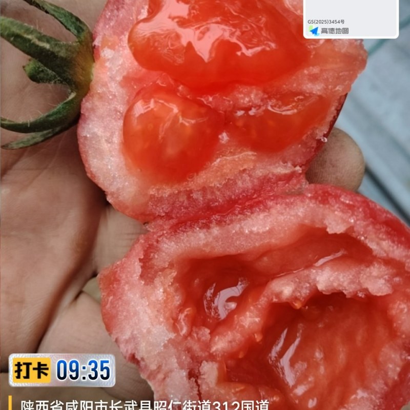 水果西红柿