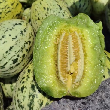 精品花蕾甜瓜大量上市品质保证量大从优一手货源