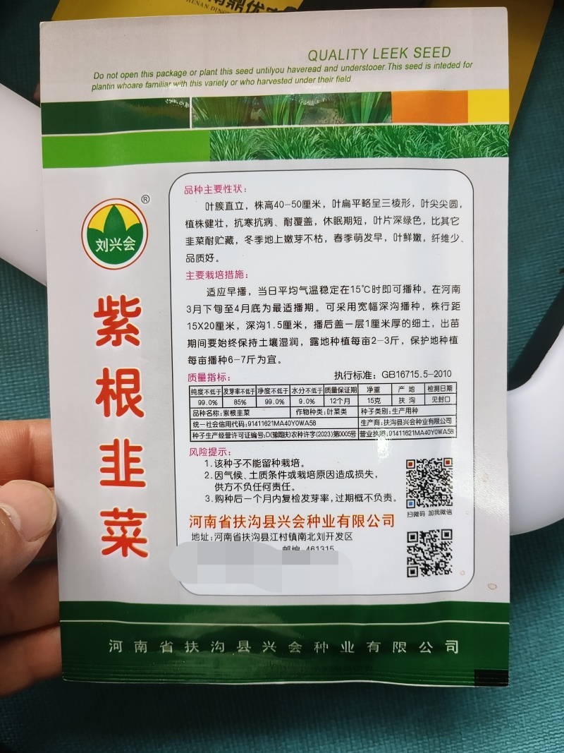紫根韭菜休眠期短抗寒抗病15度可播种叶簇直立口感好
