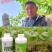 增效剂促进吸收降低农药使用率