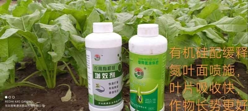 增效剂促进吸收降低农药使用率