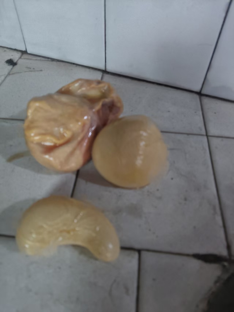 鸡宝
