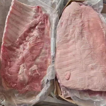 毛肋排