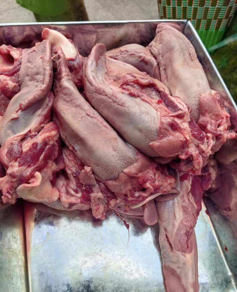 猪舌（热鲜）柳州同城当日现宰无注水干净去膜餐饮家用新