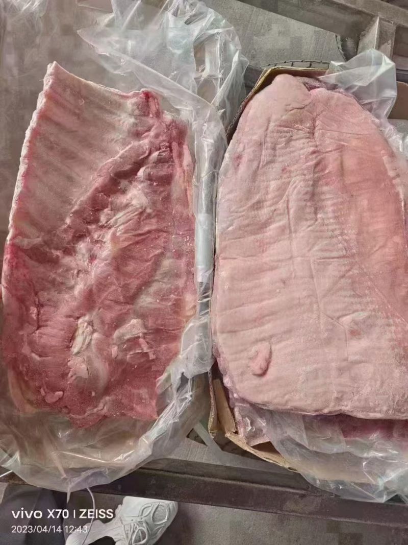 毛肋排