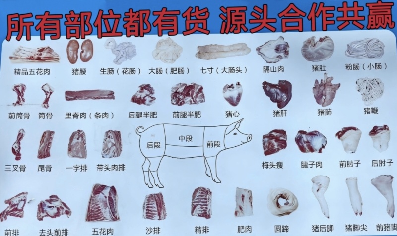 猪腰（热鲜）柳州同城当日现宰无注水鲜嫩无腥爆炒火锅食材