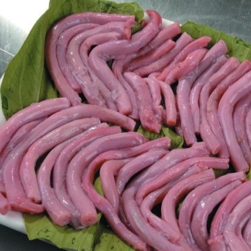 猪鞭（精修）柳州同城精修去油干净新鲜无异味品质上乘餐饮