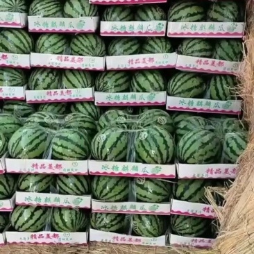 美都西瓜麒麟西瓜甜度高皮薄基地直发保证品质