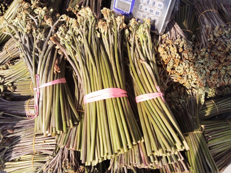 贵州高山蕨菜甜蕨苦蕨青蕨鲜货泡菜都有货