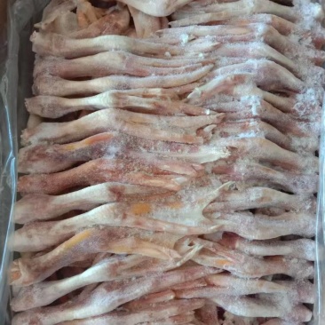 出售红嘴雁掌