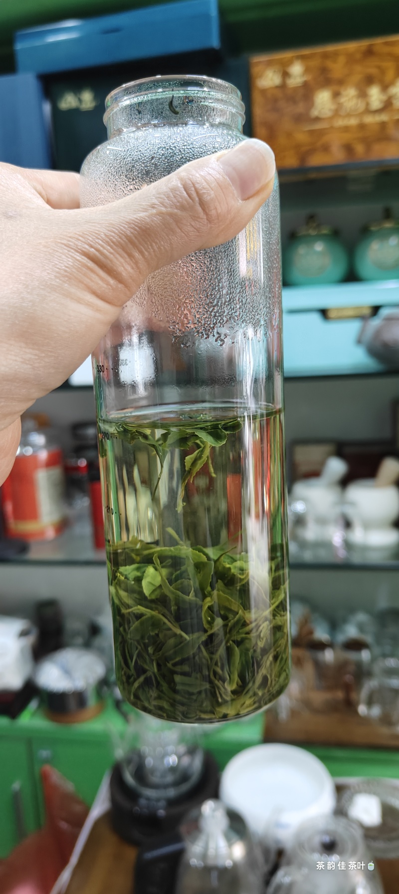 清仓恩施玉露口粮茶栗香