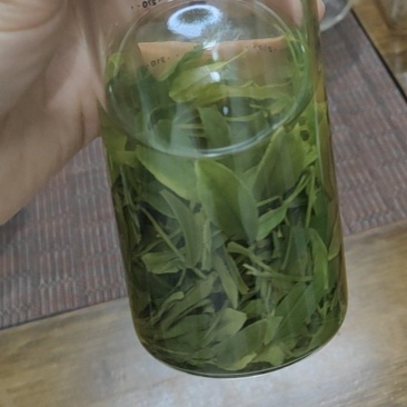清仓恩施玉露口粮茶栗香