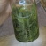 清仓恩施玉露口粮茶栗香