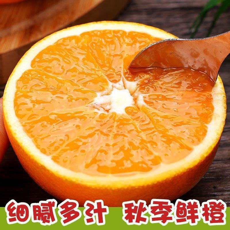 九月红脐橙大量上市，全国发货，欢迎进店沟通，量大则优