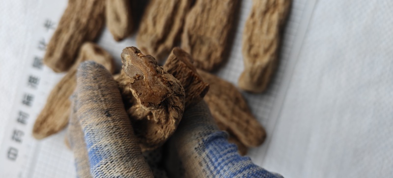 乌天麻黑天麻个选可打粉关书药业批发各种规格